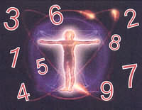Num42
